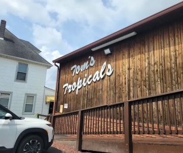 Tom's Tropicals