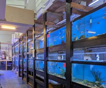 CTE Aquatics