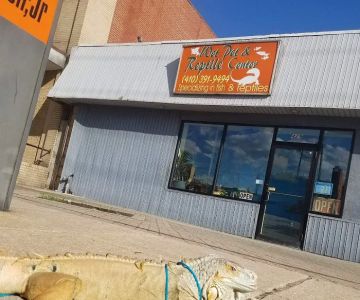 Wet Pet & Reptile Center now Tipping the Scales