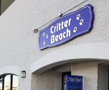 Critter Beach