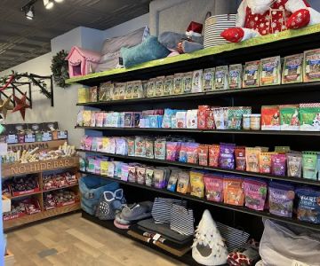 Fur Baby Pet Resort
