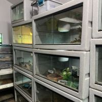 Rhonda's Reptiles ico
