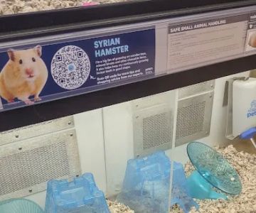 Petco