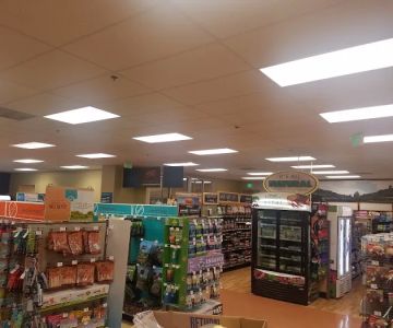 Petco