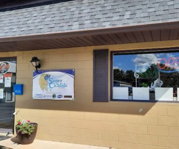 Aquatics Super Store - Super Cichlids & More