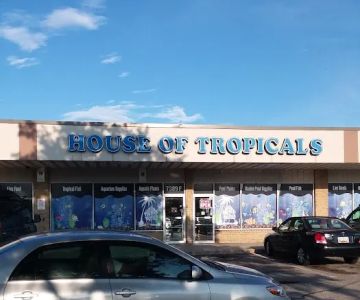 House Of Tropicals