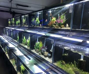 OSA Aquarium Superstore & Services -Coventry RI