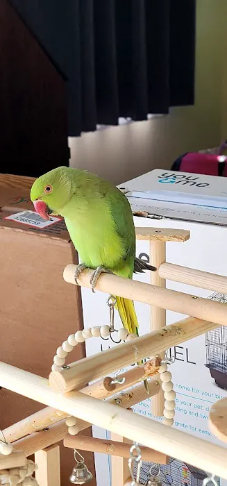 Maryland Exotic Birds Inc 1