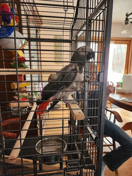 Maryland Exotic Birds Inc 2