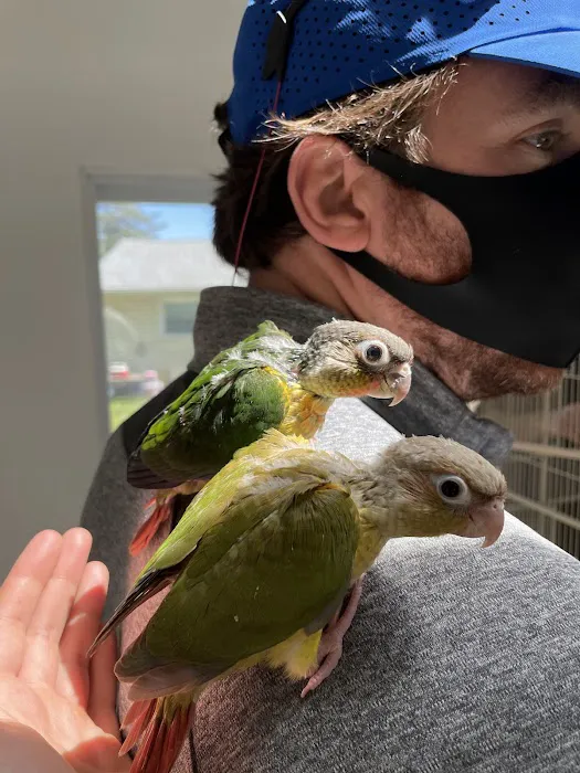 Maryland Exotic Birds Inc 10