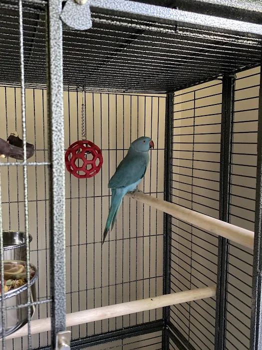 Maryland Exotic Birds Inc 8