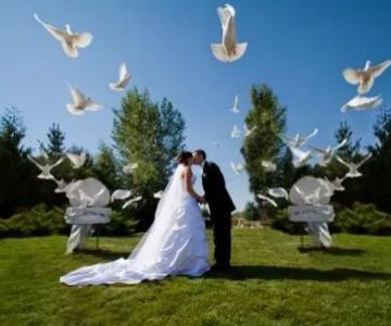 Memorable Moments Dove Release LLC