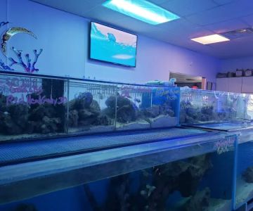 Pacific East Aquaculture