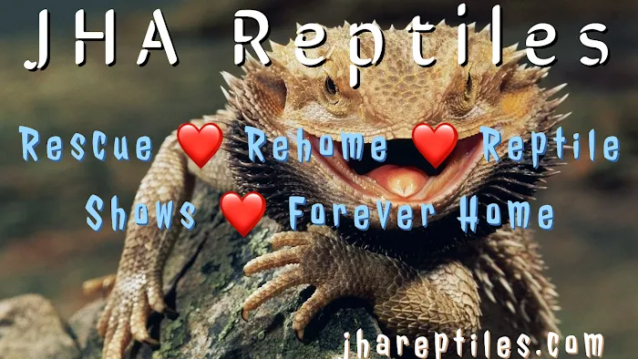JHA Reptiles 10