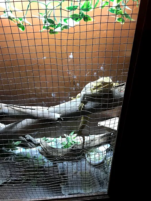 JHA Reptiles 8