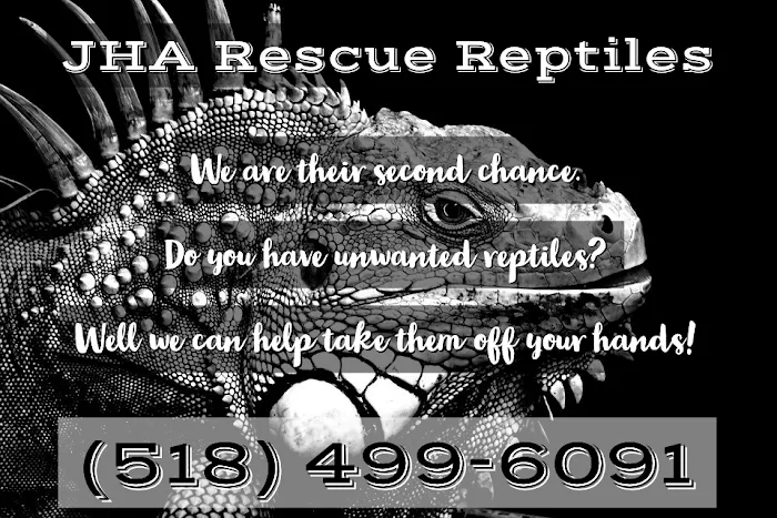 JHA Reptiles 7
