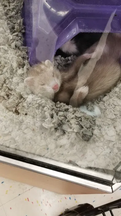 Petco 6