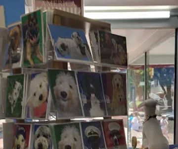 Sea Dog Pet Boutique