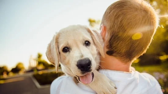 Essential Pet Care Tips Every First-Time Owner Should Know