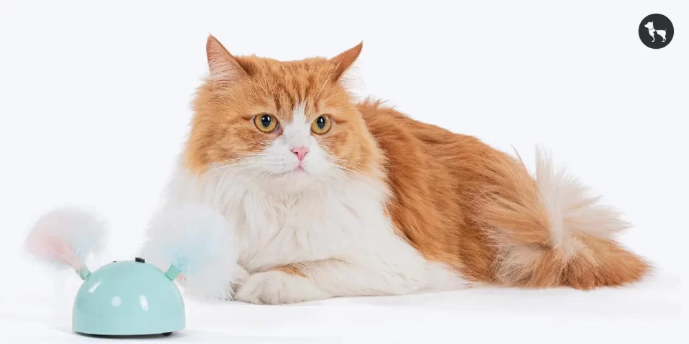 Best Interactive Toys for Bored Cats: Keep Your Cat Engaged and Happy