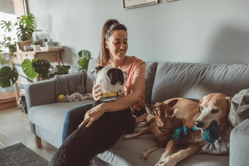 Benefits of Having a Pet Sitter for Your Dog: Why It's Worth the Investment