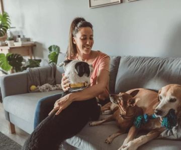 Benefits of Having a Pet Sitter for Your Dog: Why It's Worth the Investment