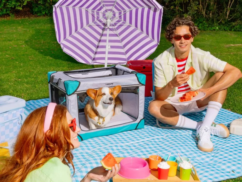Pet-Friendly Home Decor Ideas: Creating a Stylish and Safe Space