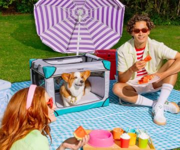 Pet-Friendly Home Decor Ideas: Creating a Stylish and Safe Space