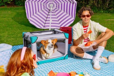 Pet-Friendly Home Decor Ideas: Creating a Stylish and Safe Space