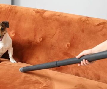 Why Your Dog May Be Ignoring Your Commands: Understanding Dog Behavior