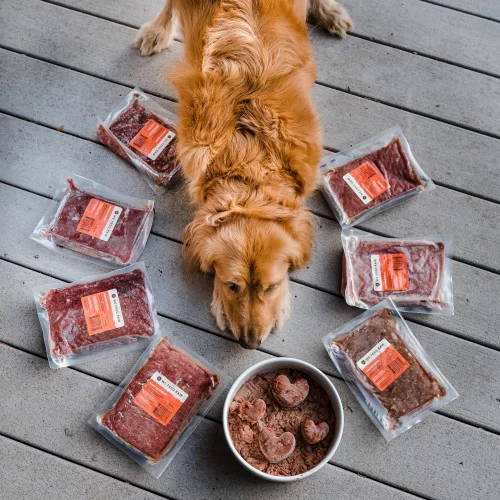 Raw vs Cooked Dog Food: Which Is Better for Your Pet's Health?