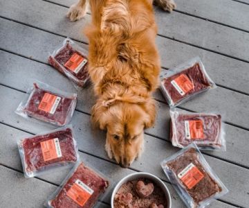 Raw vs Cooked Dog Food: Which Is Better for Your Pet's Health?
