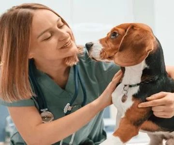 Can Veterinarian Grooming Services Be Considered for Section 199A? A Guide to Tax Considerations