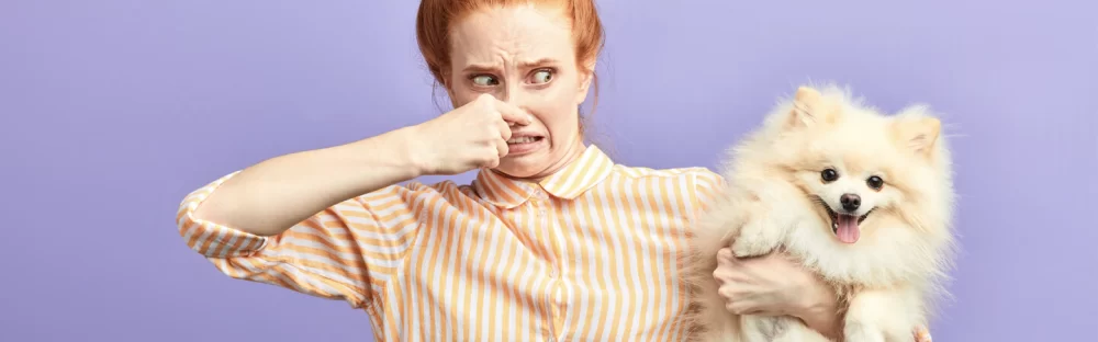 How to Get Rid of Dog Bad Breath Naturally: Simple Remedies for Your Pup