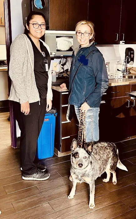 SOCAL Veterinary Hospital 8