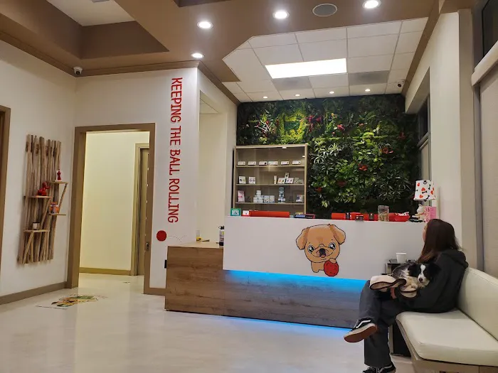 Freddie's Place Animal Hospital & Urgent Care 9