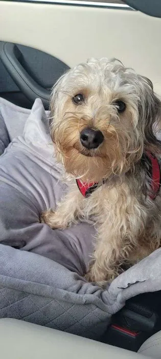 Freddie's Place Animal Hospital & Urgent Care 2
