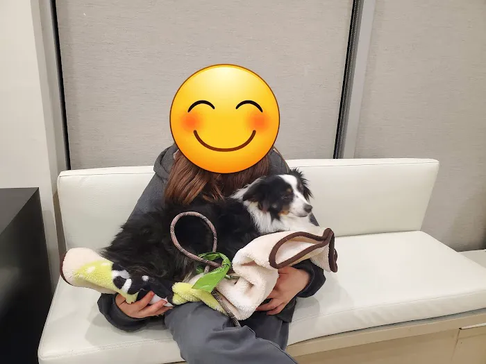Freddie's Place Animal Hospital & Urgent Care 6