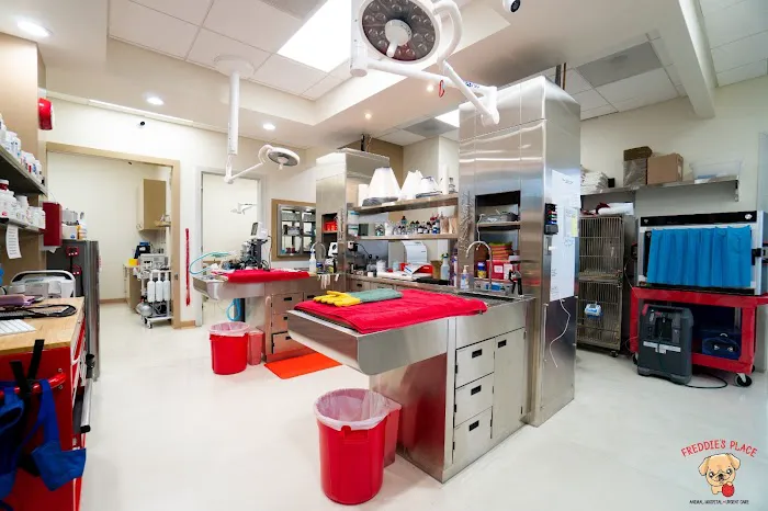 Freddie's Place Animal Hospital & Urgent Care 4