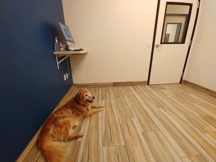 Shadowridge Veterinary Hospital & Creature Comforts Pet Hotel in Vista 8