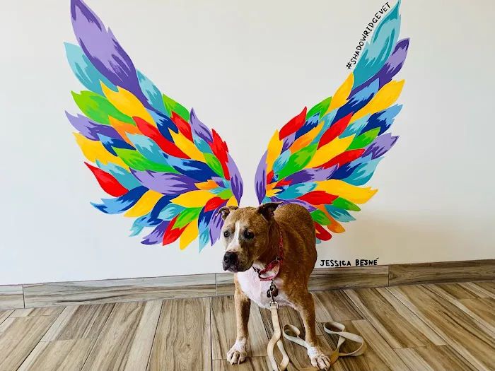 Shadowridge Veterinary Hospital 1