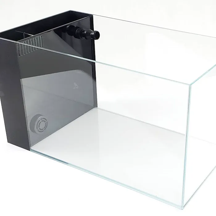 Lifegard Aquatics 2