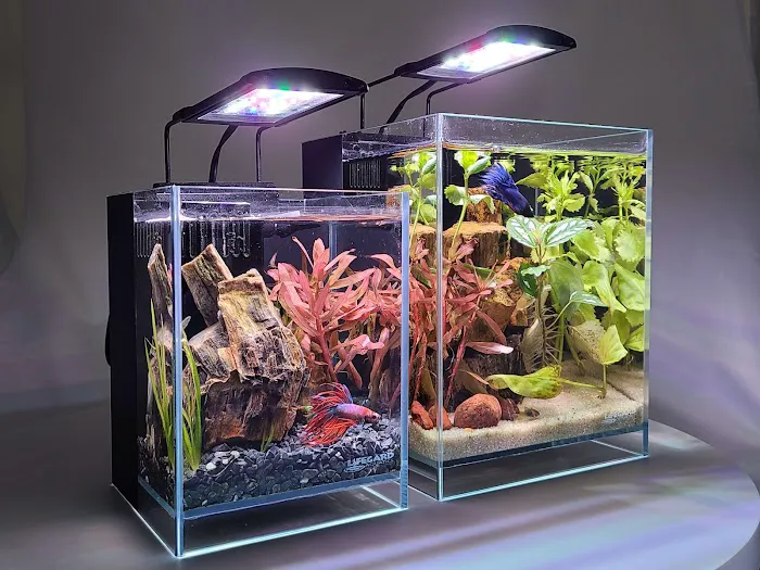 Lifegard Aquatics 7