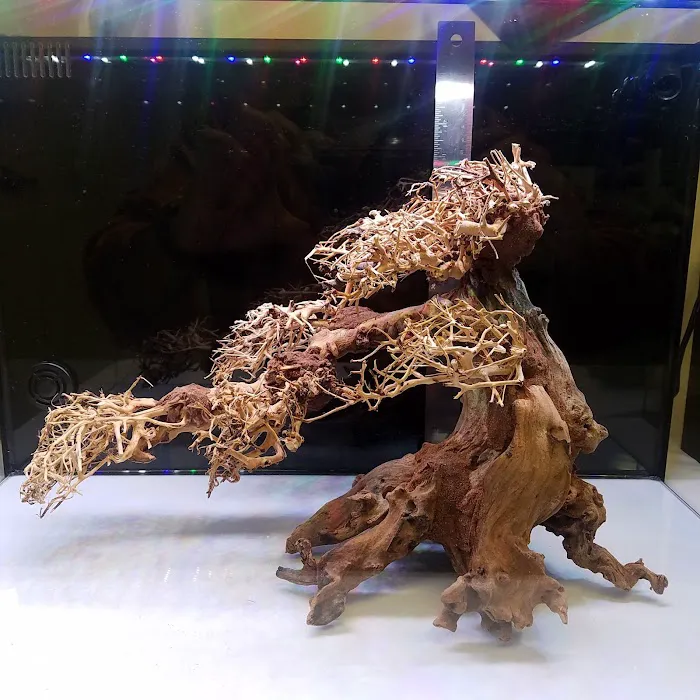Lifegard Aquatics 9
