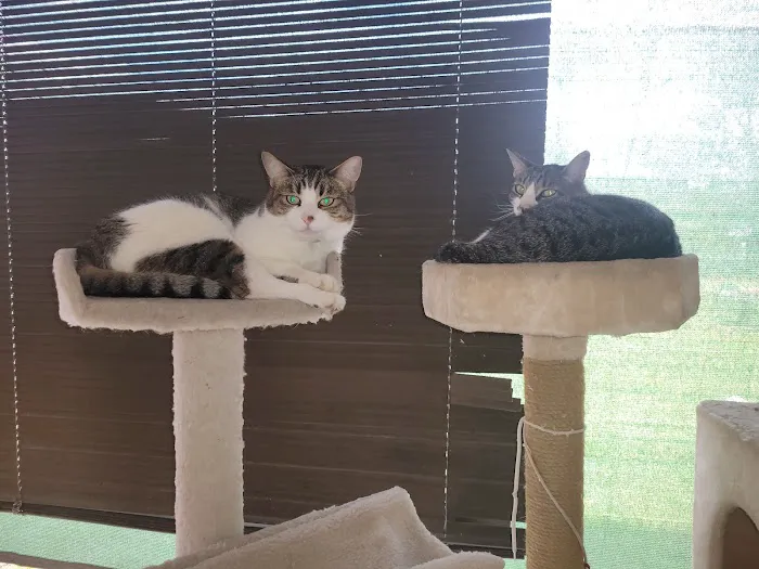 ABC Veterinary Hospital 9