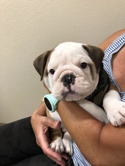 ABC Veterinary Hospital 7