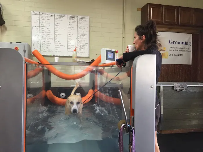 Tsavo's Canine Rehabilitation in San Diego County 6