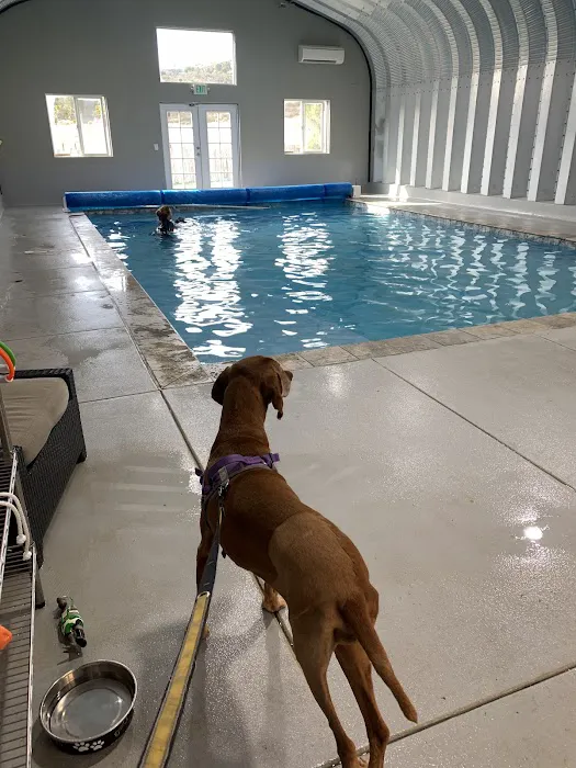 Tsavo's Canine Rehabilitation in San Diego County 2