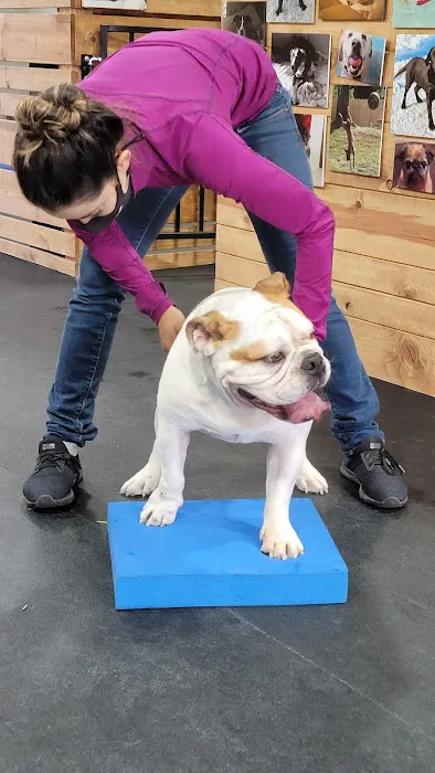 Tsavo's Canine Rehabilitation in San Diego County 1