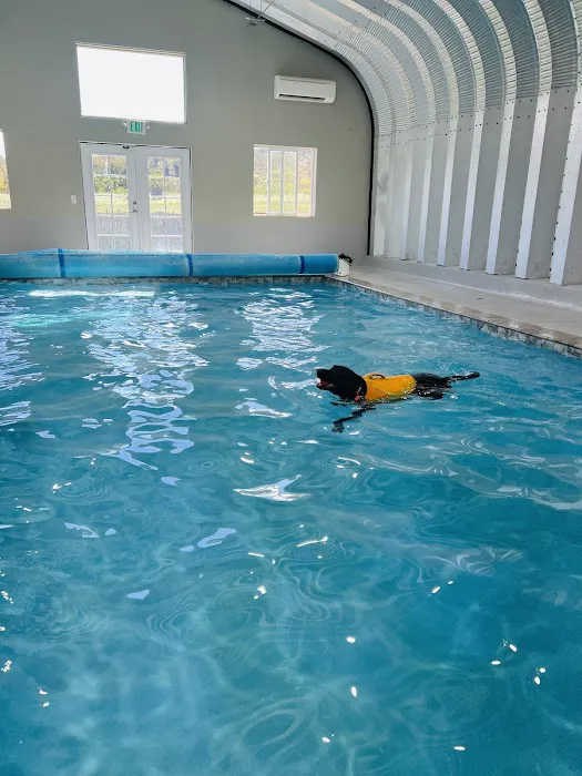 Tsavo's Canine Rehabilitation in San Diego County 3